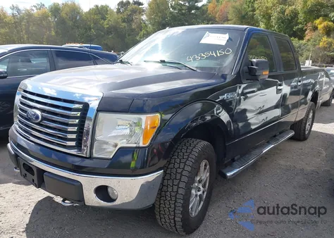 2010 Ford F-150 Xl/Xlt from USA, damaged, VIN 1FTFW1E80AFD59778